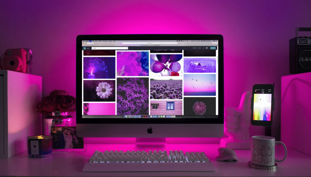 Web Hosting Services